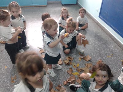 Llegó el otoño a Sala Turquesa Llegó el otoño a Sala Turquesa