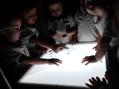 Llegó el otoño a Sala Turquesa Llegó el otoño a Sala Turquesa