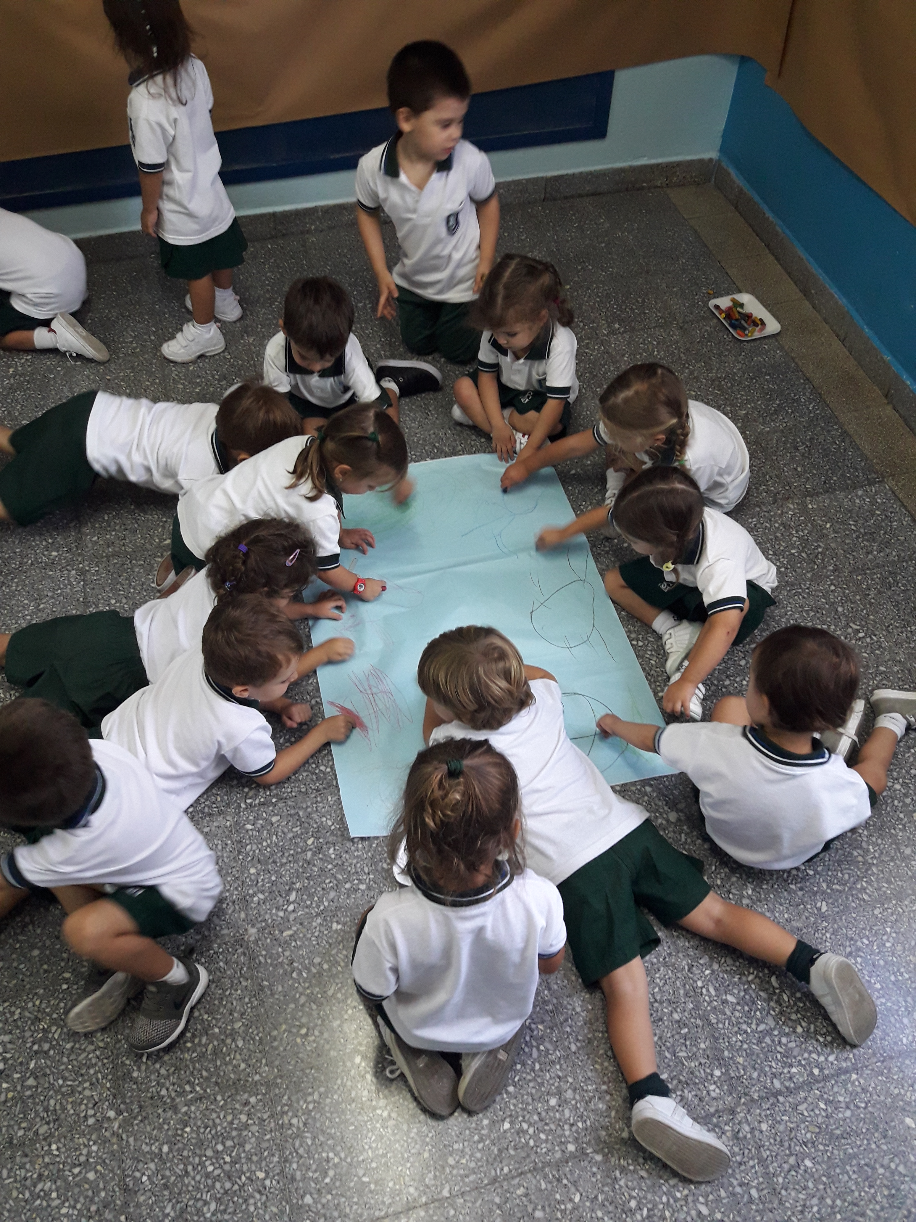 Periodo de inicio sala Celeste TM Periodo de inicio sala Celeste TM
