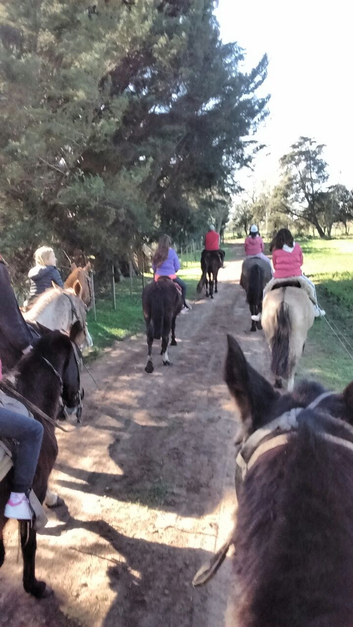 EXCELENTES DÍAS DE CAMPAMENTO!! EXCELENTES DÍAS DE CAMPAMENTO!!